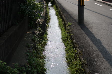 側溝の水の流れ