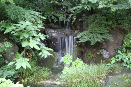 "貯蔵庫そばの滝